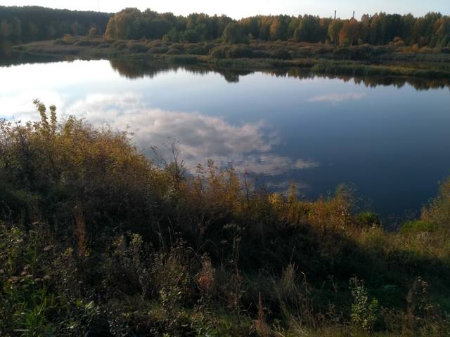 https://upforme.ru/uploads/0013/1f/fe/84/459178.jpg
