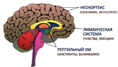 https://upforme.ru/uploads/0013/1f/fe/98/727740.jpg