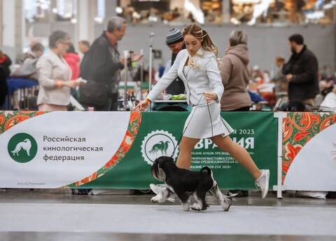 https://upforme.ru/uploads/0013/26/e2/2/t132680.jpg