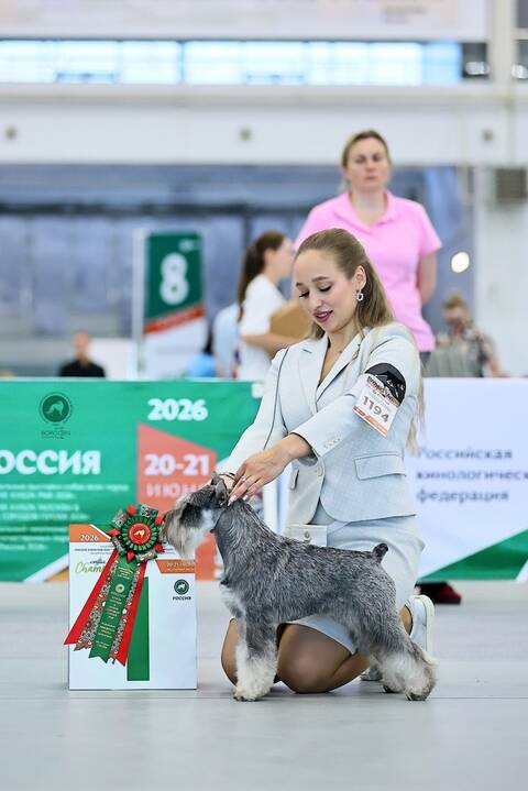 https://upforme.ru/uploads/0013/26/e2/2/t225581.jpg