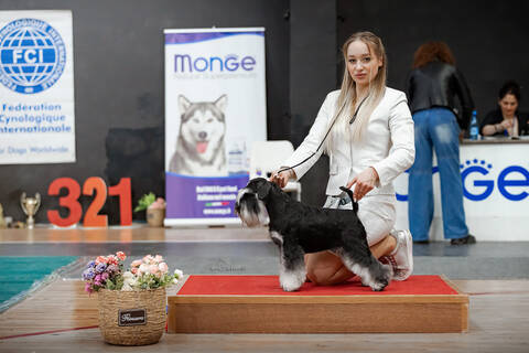 https://upforme.ru/uploads/0013/26/e2/2/t230272.jpg
