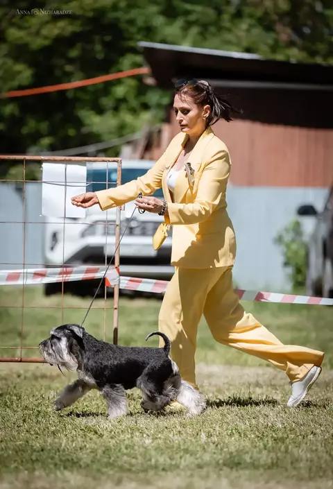 https://upforme.ru/uploads/0013/26/e2/2/t529213.webp