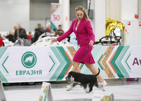 https://upforme.ru/uploads/0013/26/e2/2/t532238.jpg