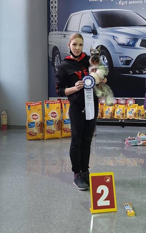 https://upforme.ru/uploads/0013/26/e2/2/t604549.jpg
