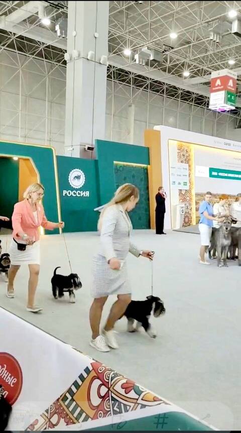 https://upforme.ru/uploads/0013/26/e2/2/t630846.jpg