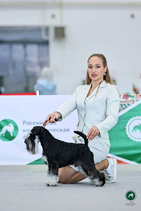 https://upforme.ru/uploads/0013/26/e2/2/t682071.jpg