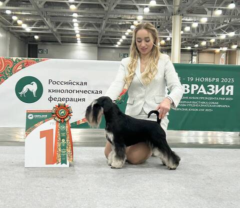 https://upforme.ru/uploads/0013/26/e2/2/t774866.jpg