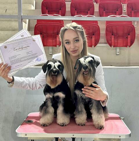 https://upforme.ru/uploads/0013/26/e2/2/t79984.jpg