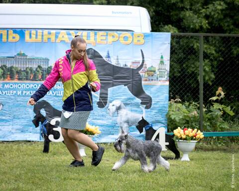 https://upforme.ru/uploads/0013/26/e2/2/t844851.jpg