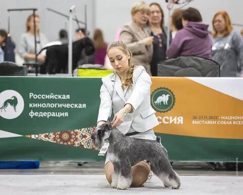 https://upforme.ru/uploads/0013/26/e2/2/t873365.jpg