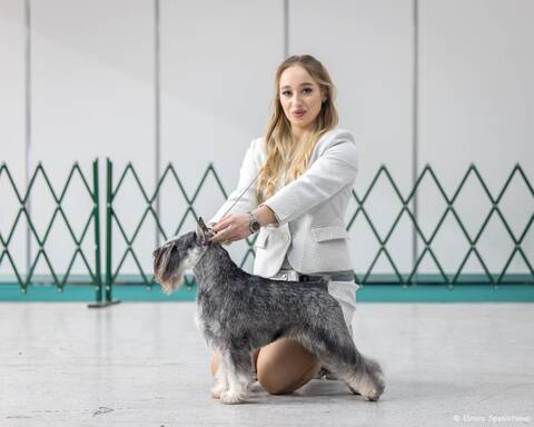 https://upforme.ru/uploads/0013/26/e2/2/t889351.jpg
