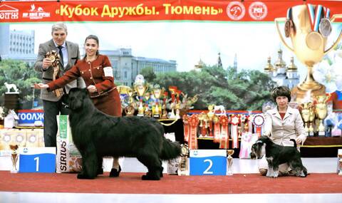 https://upforme.ru/uploads/0013/26/e2/2/t907075.jpg