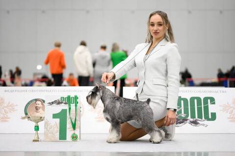 https://upforme.ru/uploads/0013/26/e2/2/t92952.jpg