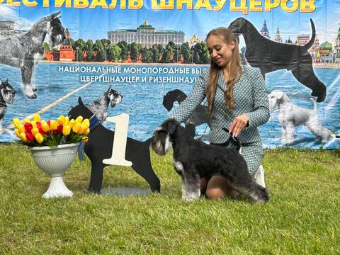 https://upforme.ru/uploads/0013/26/e2/2/t970216.jpg