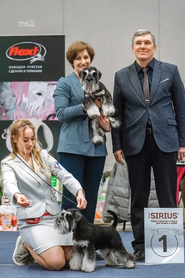 https://upforme.ru/uploads/0013/26/e2/64/103841.webp