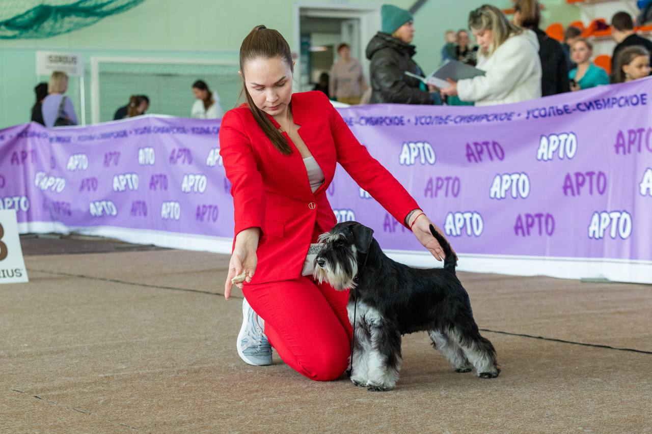 https://upforme.ru/uploads/0013/26/e2/64/104232.jpg