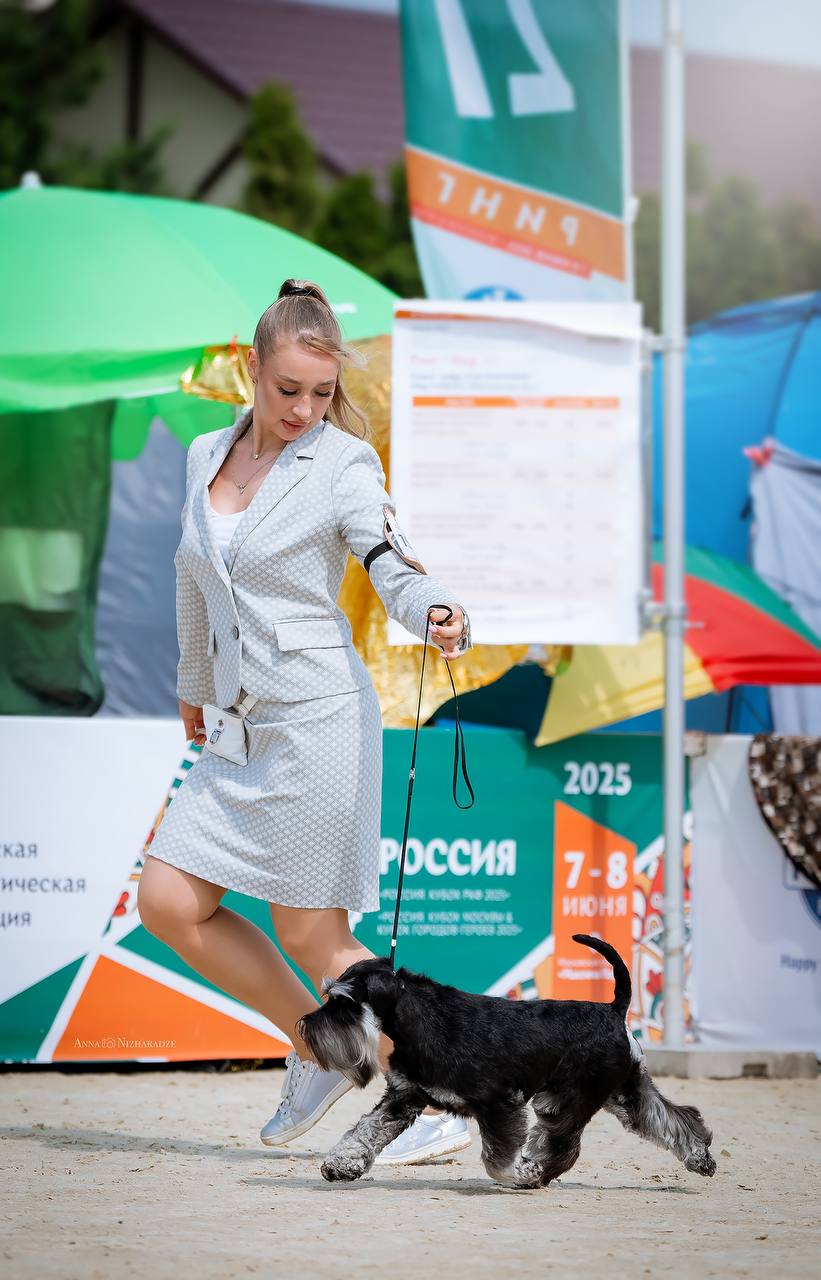 https://upforme.ru/uploads/0013/26/e2/64/108667.jpg