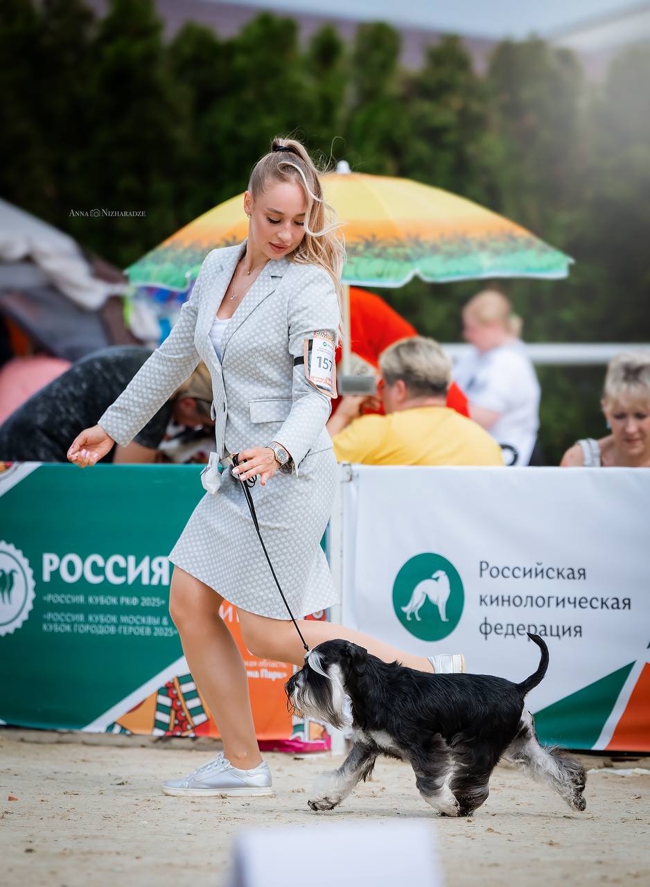 https://upforme.ru/uploads/0013/26/e2/64/145906.jpg
