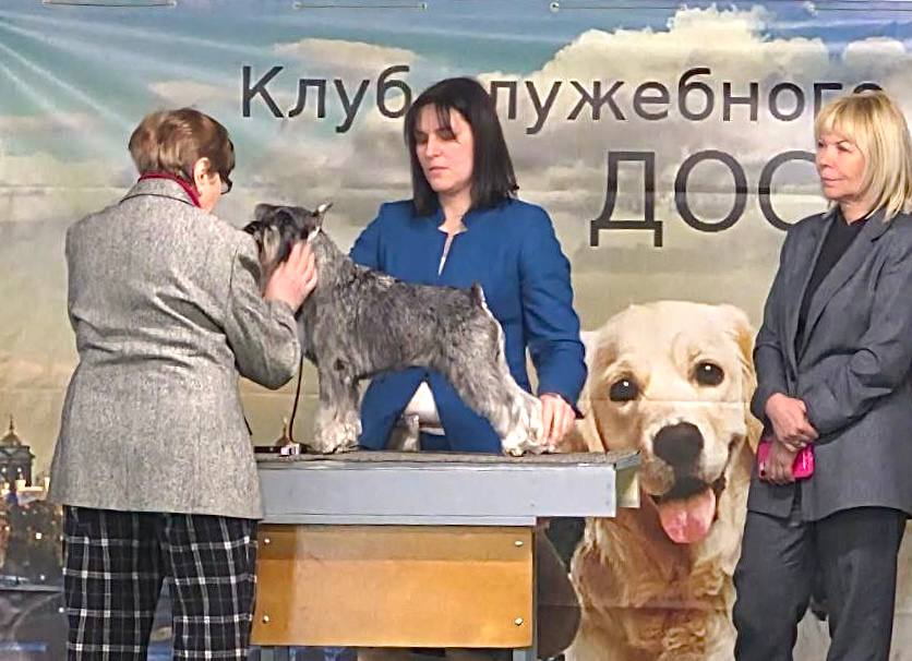 https://upforme.ru/uploads/0013/26/e2/64/150415.jpg