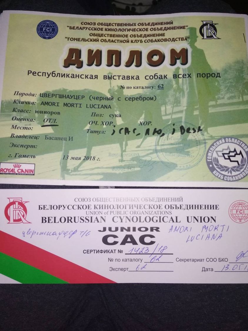 https://upforme.ru/uploads/0013/26/e2/64/15174.jpg