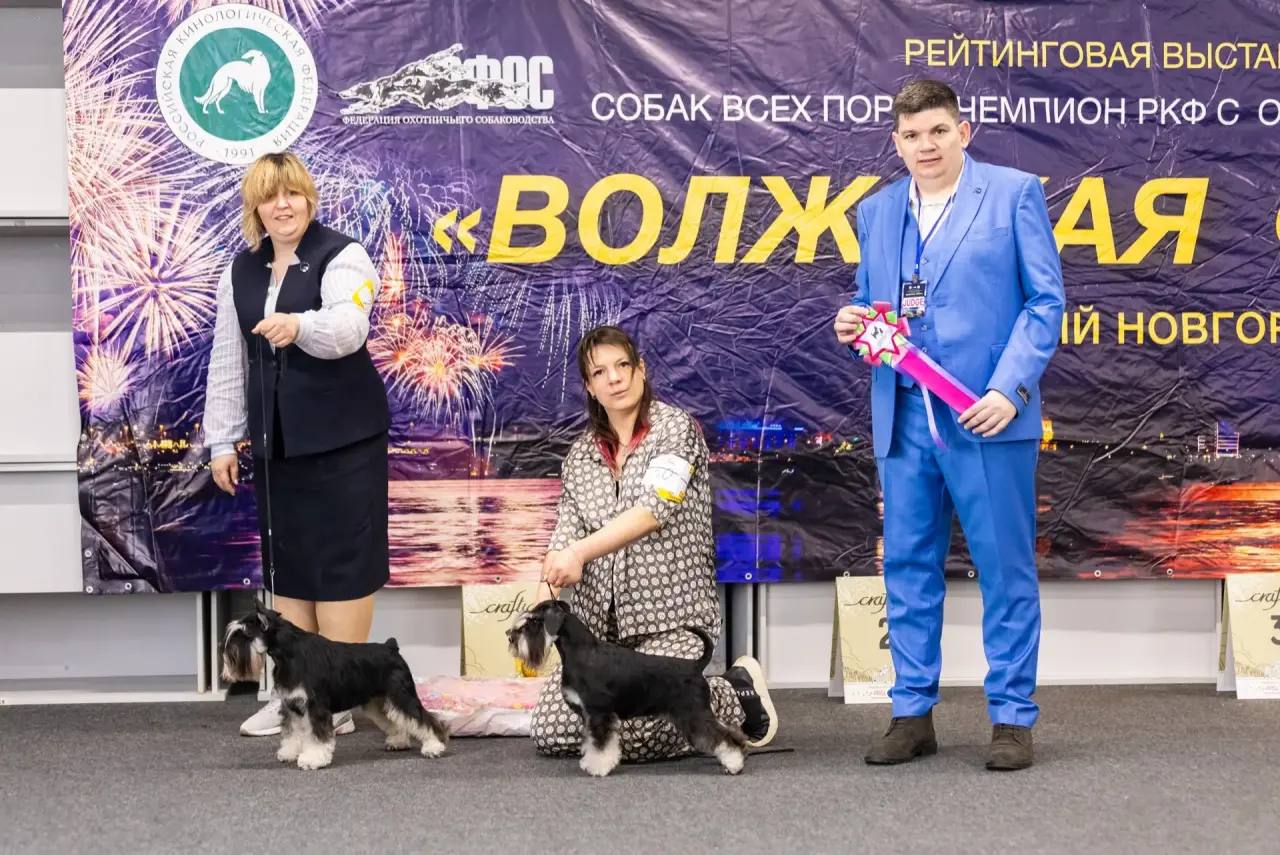 https://upforme.ru/uploads/0013/26/e2/64/158329.jpg