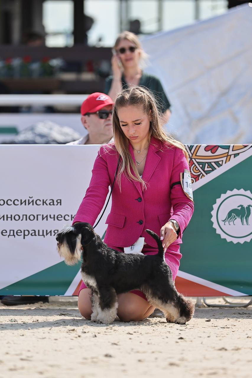 https://upforme.ru/uploads/0013/26/e2/64/161693.jpg