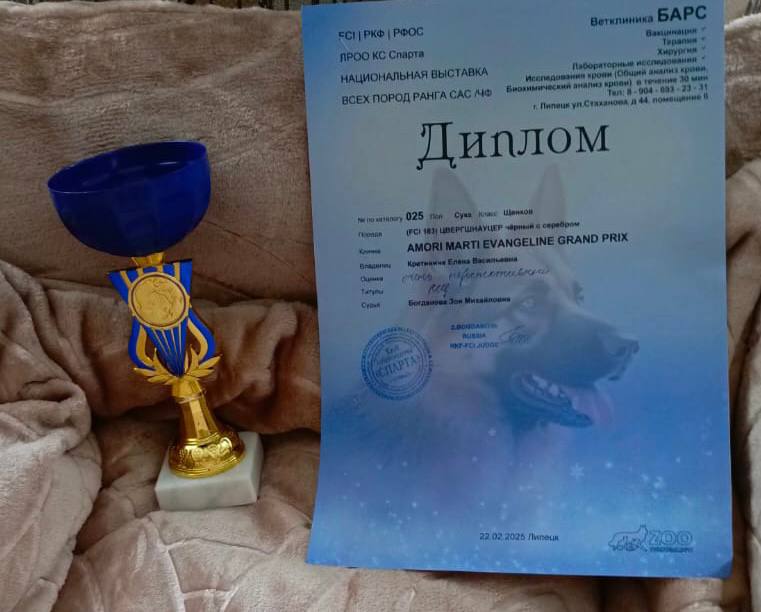 https://upforme.ru/uploads/0013/26/e2/64/163370.jpg