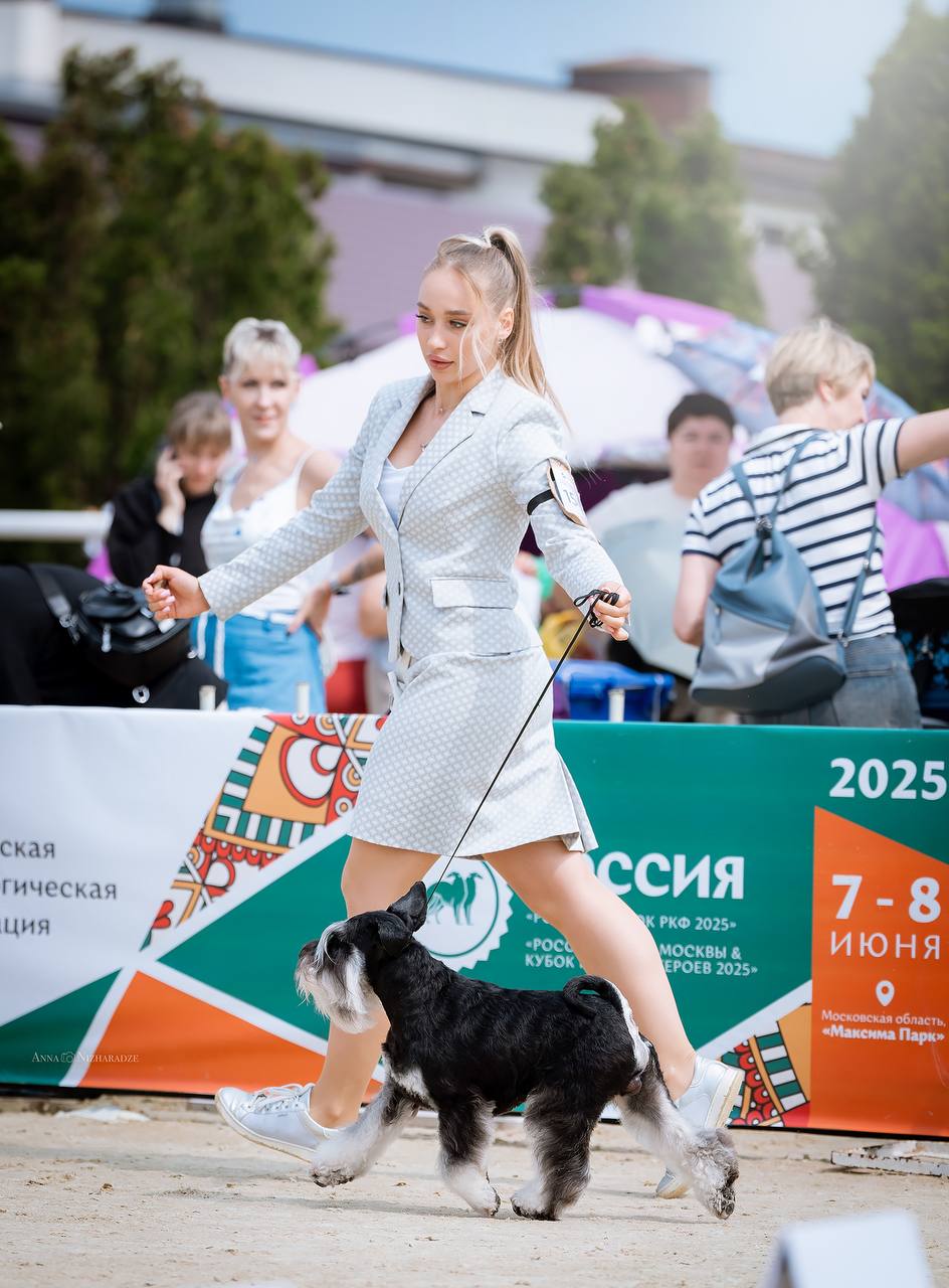 https://upforme.ru/uploads/0013/26/e2/64/176370.jpg