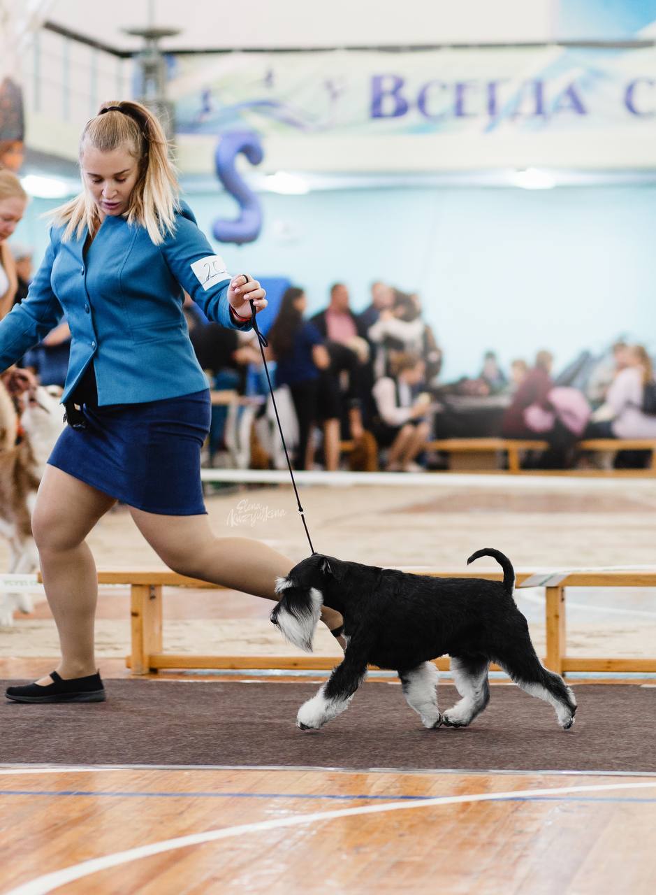 https://upforme.ru/uploads/0013/26/e2/64/17783.jpg