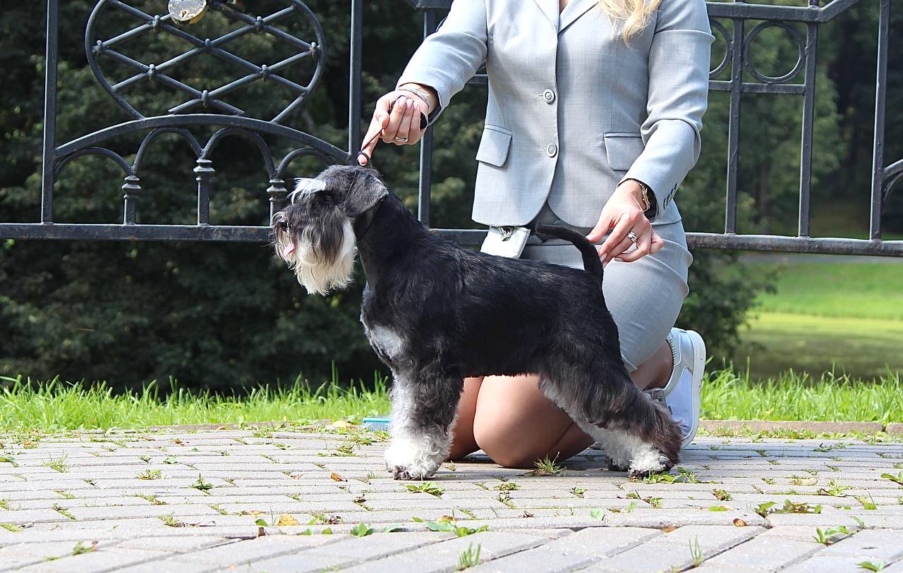 https://upforme.ru/uploads/0013/26/e2/64/178020.jpg
