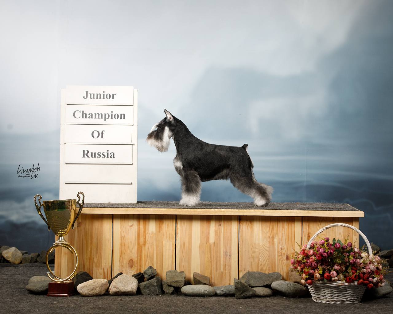https://upforme.ru/uploads/0013/26/e2/64/183816.jpg
