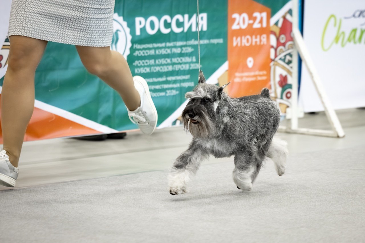https://upforme.ru/uploads/0013/26/e2/64/185168.jpg