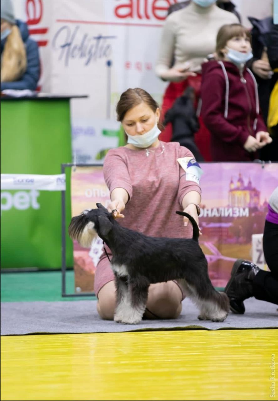 https://upforme.ru/uploads/0013/26/e2/64/185173.jpg