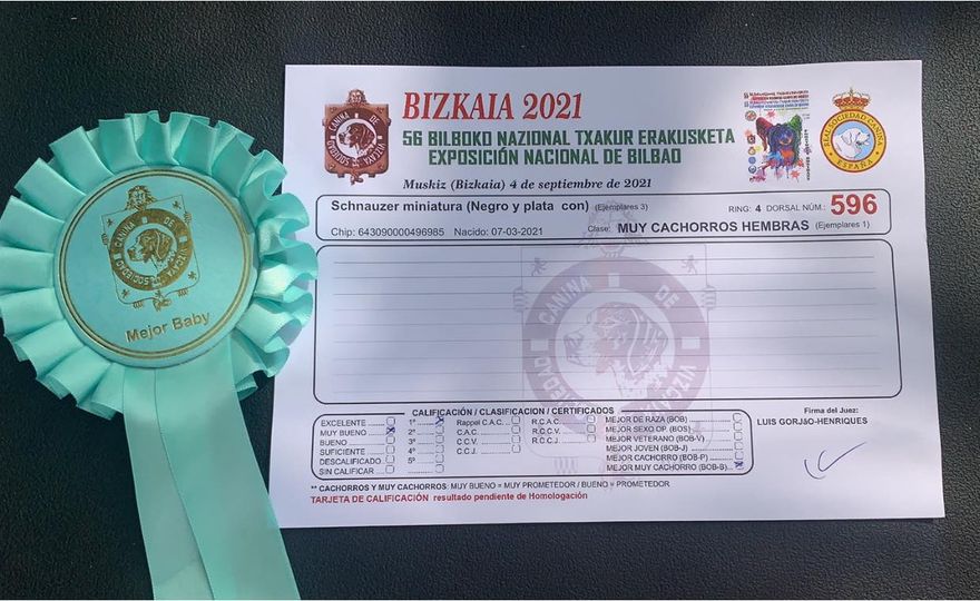 https://upforme.ru/uploads/0013/26/e2/64/188967.jpg