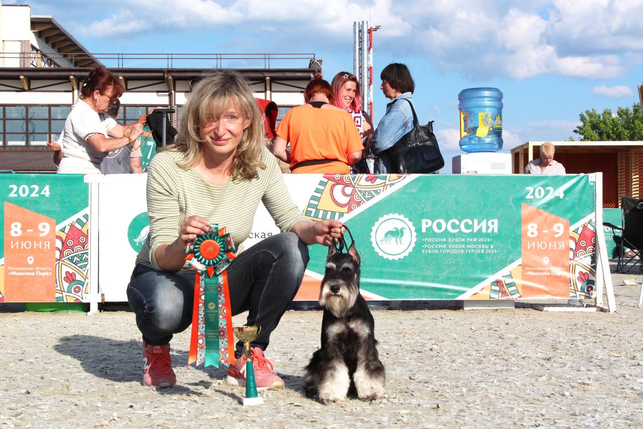 https://upforme.ru/uploads/0013/26/e2/64/190372.jpg