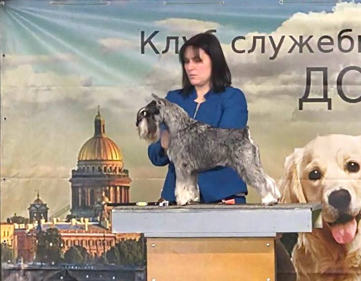 https://upforme.ru/uploads/0013/26/e2/64/191266.jpg