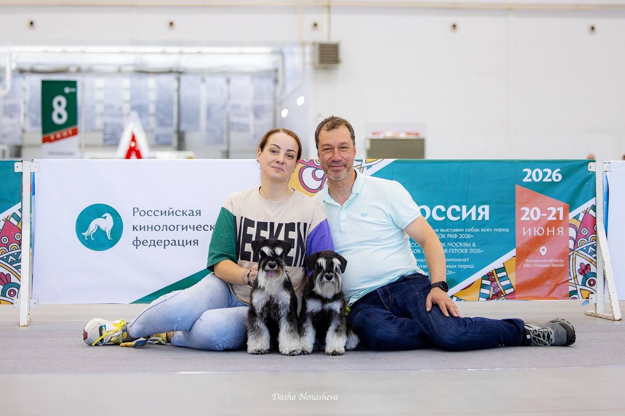 https://upforme.ru/uploads/0013/26/e2/64/194015.jpg
