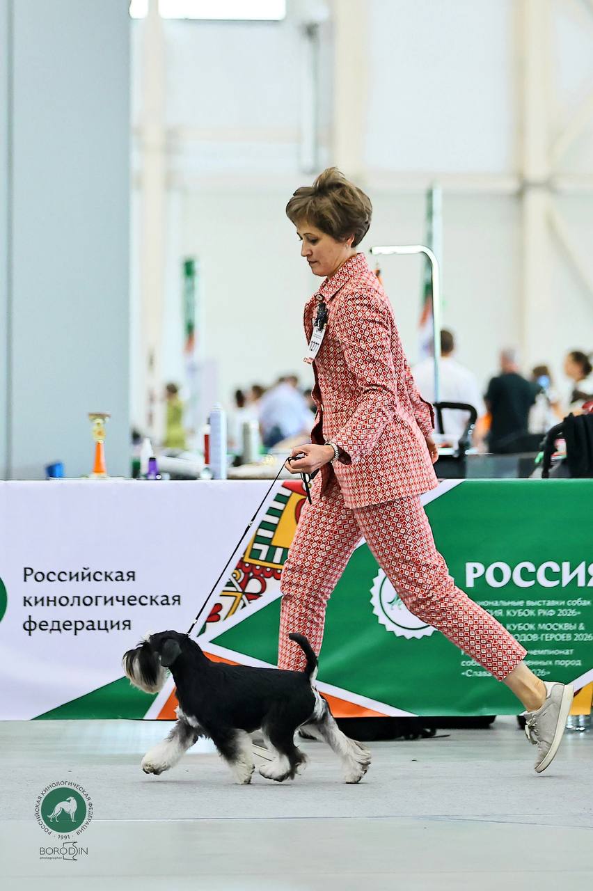 https://upforme.ru/uploads/0013/26/e2/64/202691.jpg