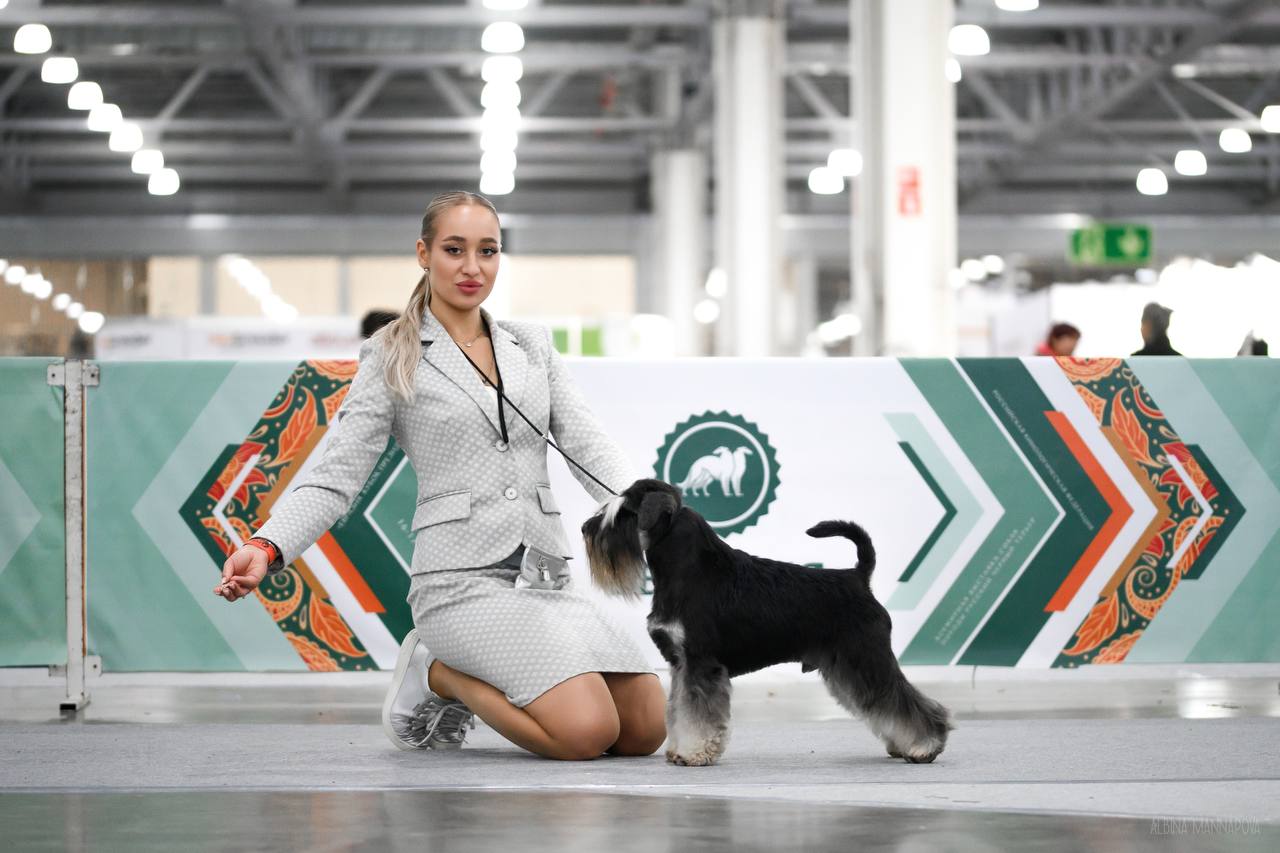 https://upforme.ru/uploads/0013/26/e2/64/202799.jpg