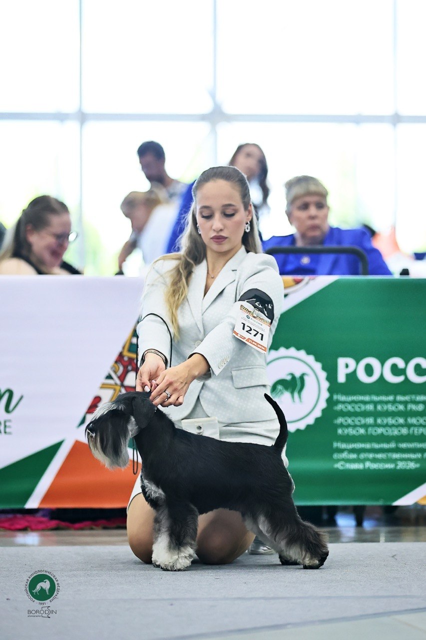 https://upforme.ru/uploads/0013/26/e2/64/208368.jpg