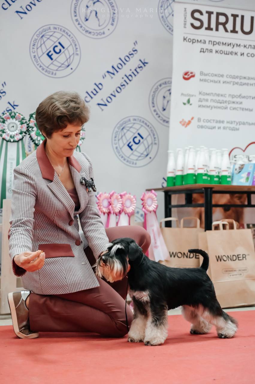 https://upforme.ru/uploads/0013/26/e2/64/257759.jpg