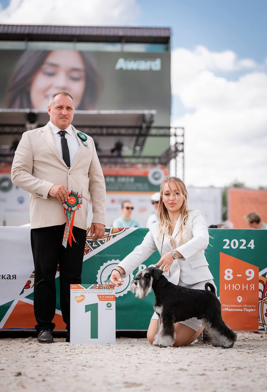 https://upforme.ru/uploads/0013/26/e2/64/274704.jpg