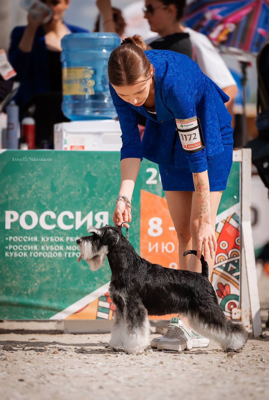 https://upforme.ru/uploads/0013/26/e2/64/28274.jpg