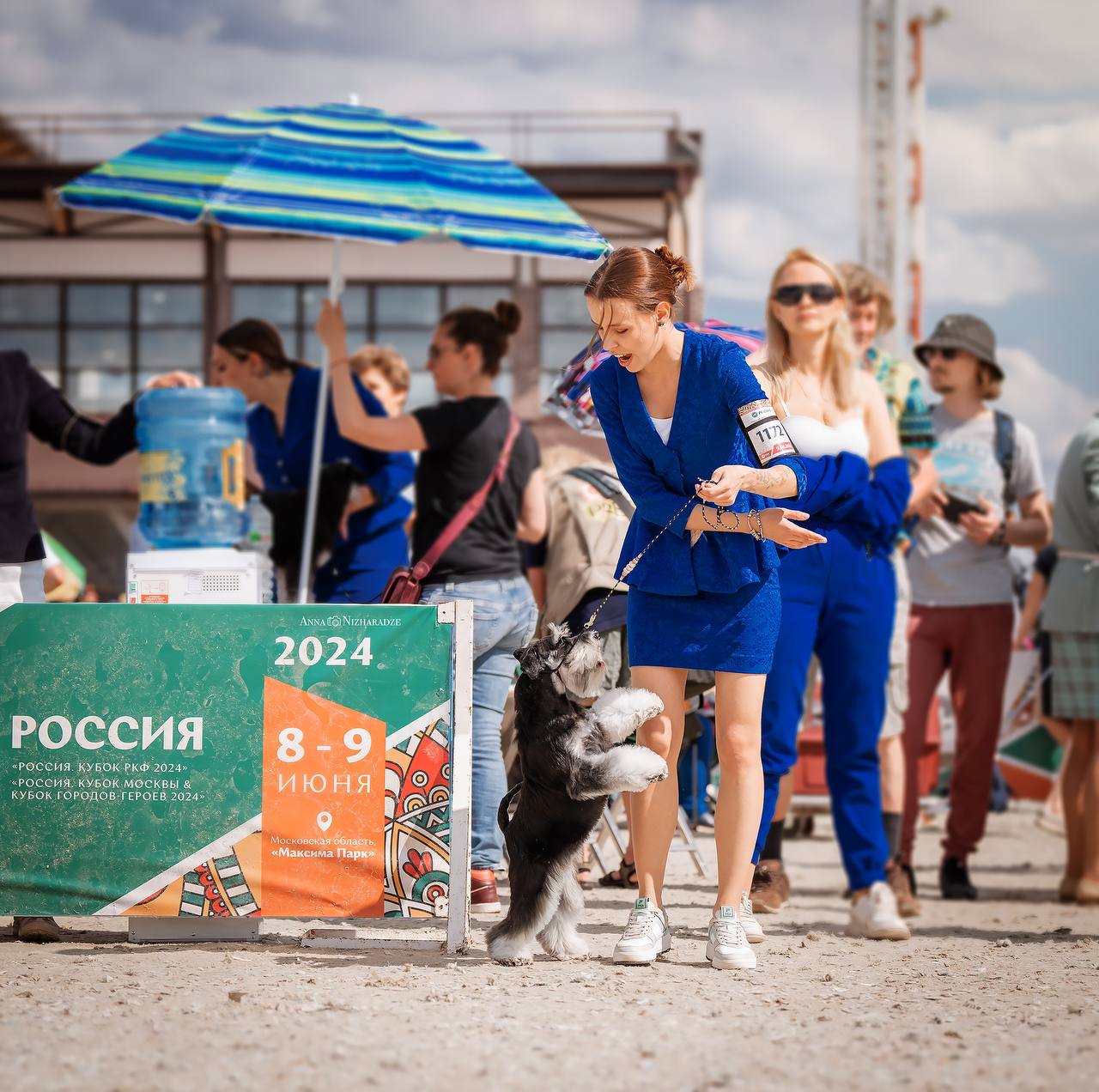 https://upforme.ru/uploads/0013/26/e2/64/288877.jpg