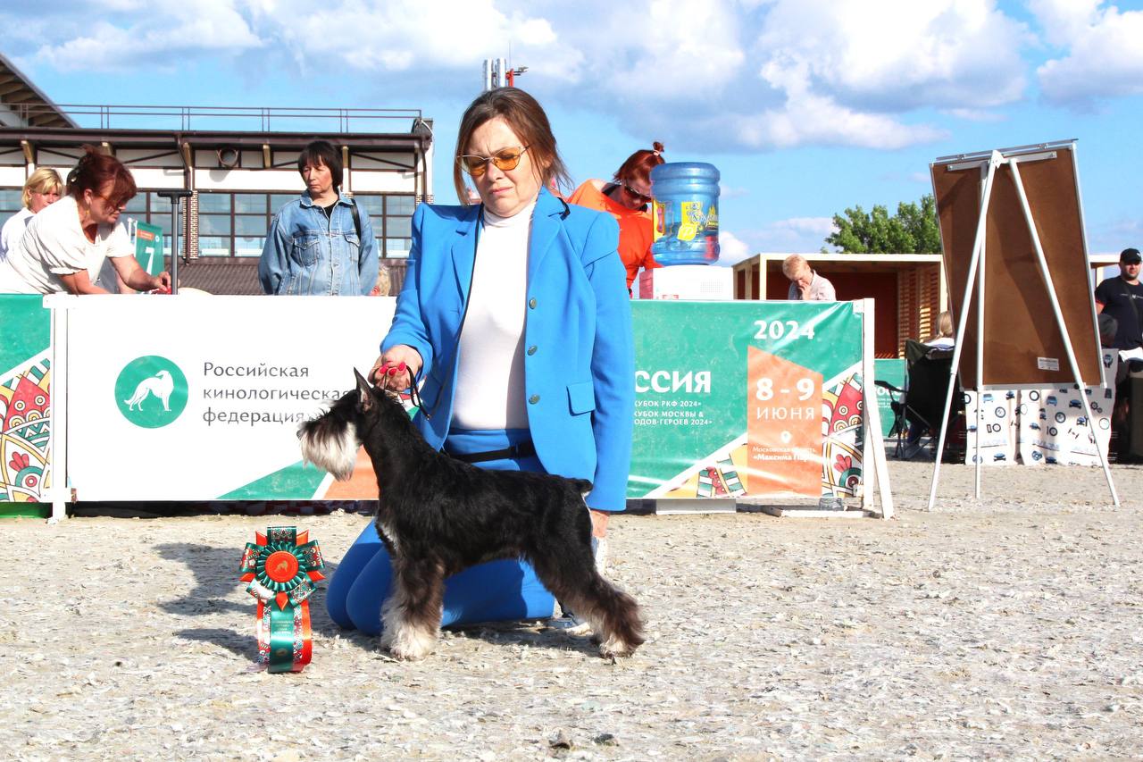 https://upforme.ru/uploads/0013/26/e2/64/297166.jpg