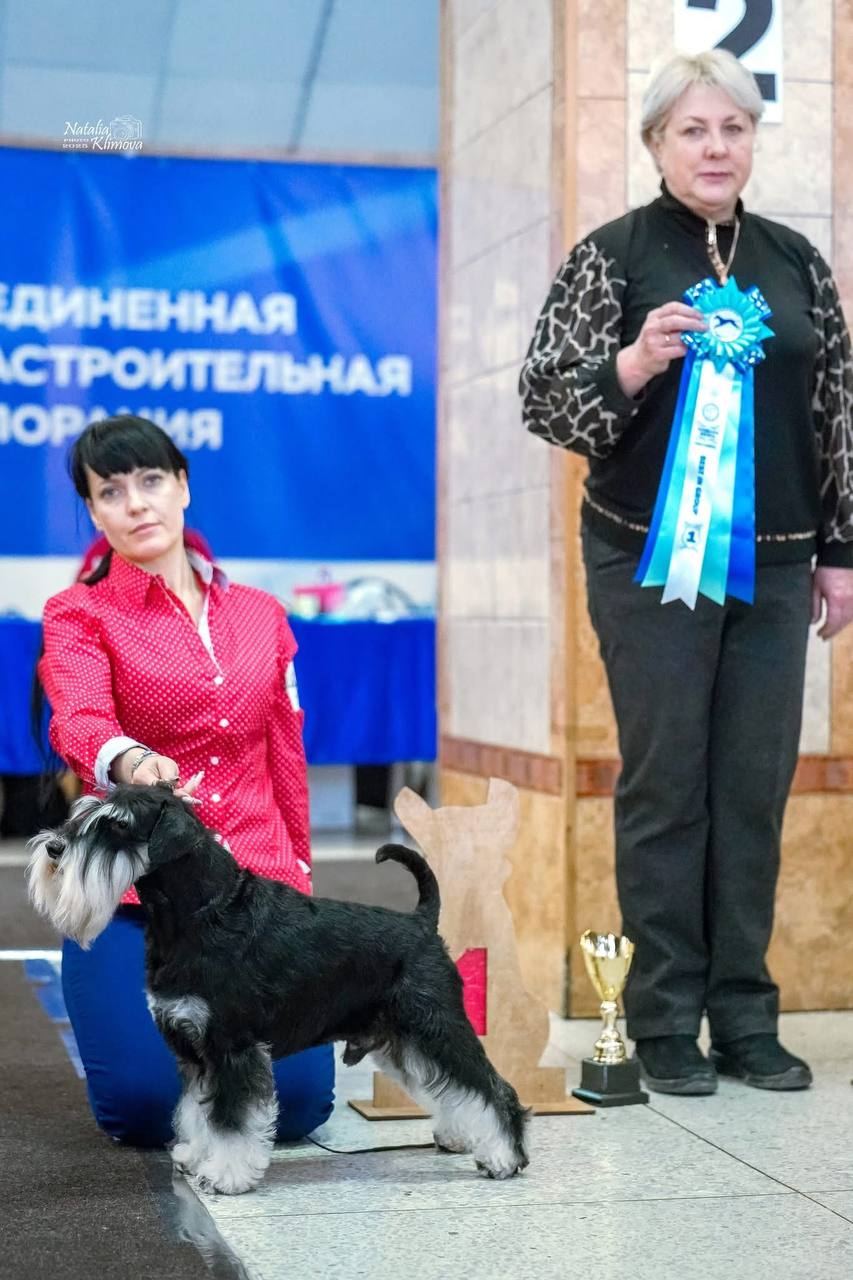 https://upforme.ru/uploads/0013/26/e2/64/298769.jpg