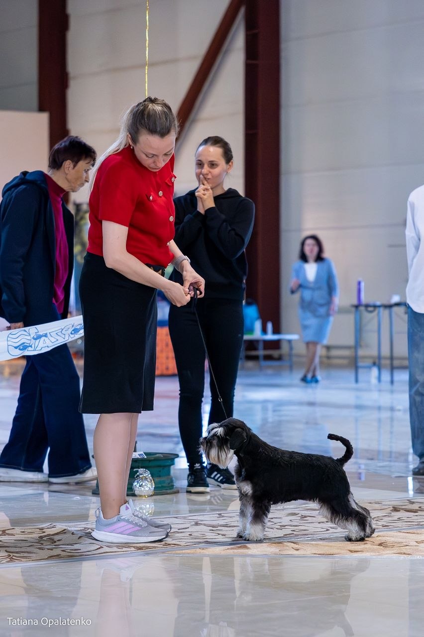 https://upforme.ru/uploads/0013/26/e2/64/299380.jpg