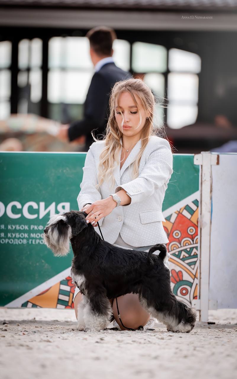 https://upforme.ru/uploads/0013/26/e2/64/301839.jpg