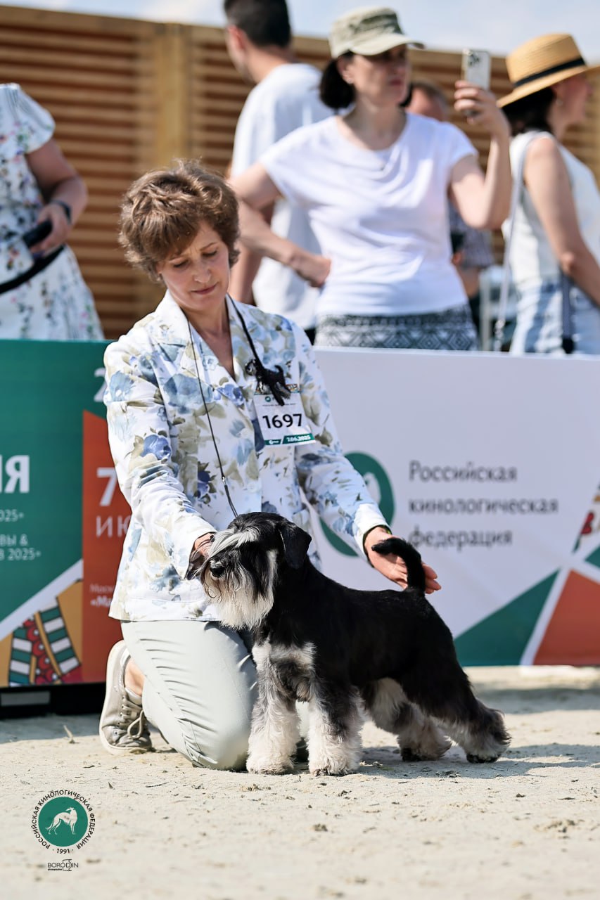 https://upforme.ru/uploads/0013/26/e2/64/307169.jpg