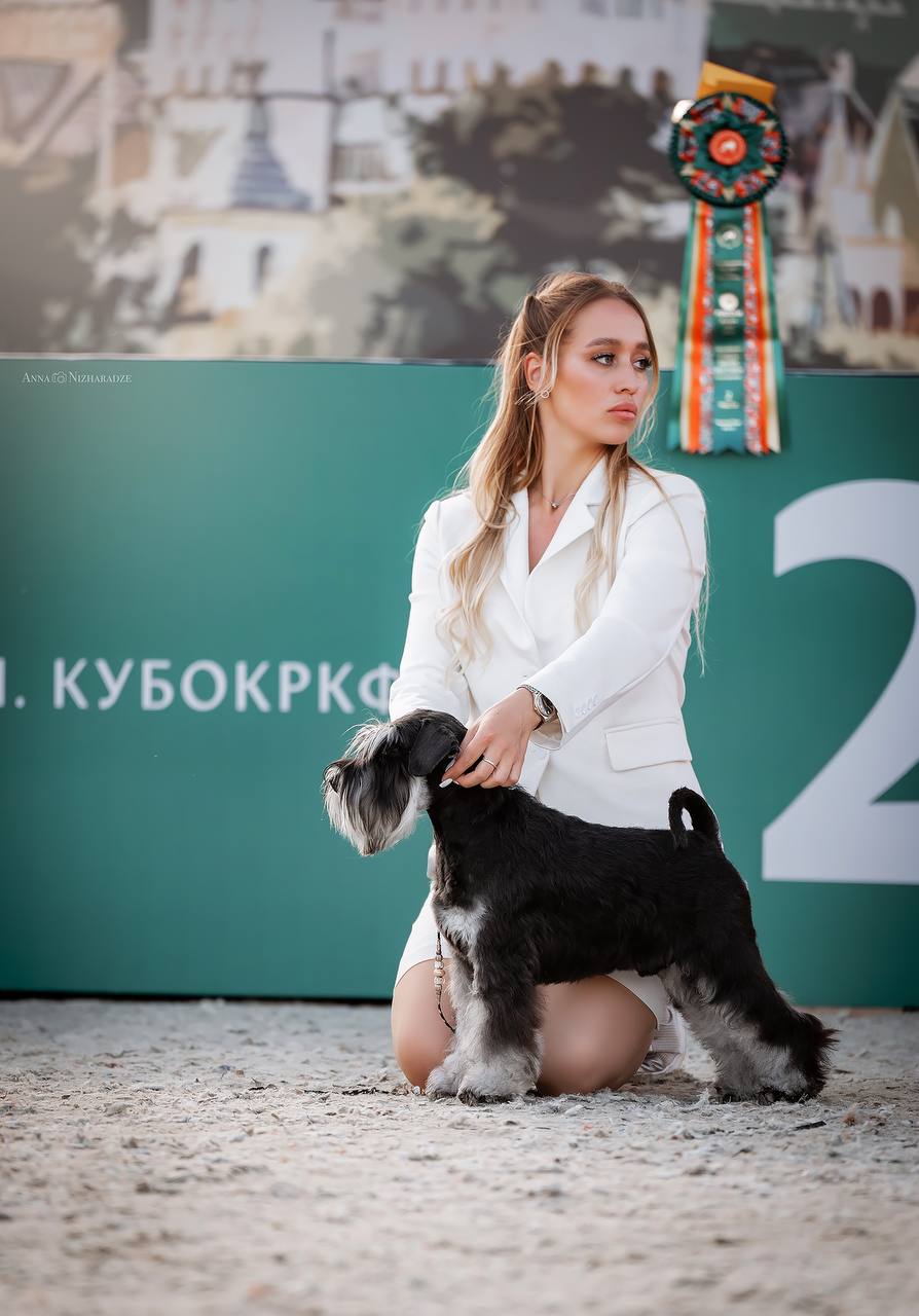 https://upforme.ru/uploads/0013/26/e2/64/307534.jpg